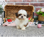 Image preview for Ad Listing. Nickname: Alana
