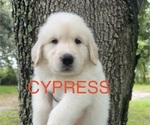 Image preview for Ad Listing. Nickname: Cypress