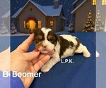 Image preview for Ad Listing. Nickname: Tiny Boomer