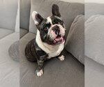 Small #2 Breeder Profile image