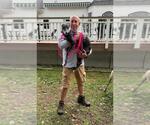 Small Photo #4 Whippet Puppy For Sale in Cherry Hill, NJ, USA