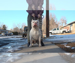 Image preview for Ad Listing. Nickname: Swas
