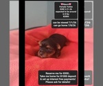 Image preview for Ad Listing. Nickname: Mavis