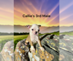Image preview for Ad Listing. Nickname: 3rd Male