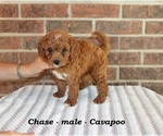 Image preview for Ad Listing. Nickname: Chase