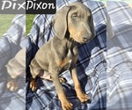 Image preview for Ad Listing. Nickname: Dixon