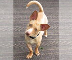 Small #2 Jack Chi
