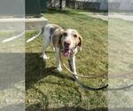 Small Pointer