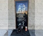 Small Photo #8 Labrador Retriever-Unknown Mix Puppy For Sale in San Diego, CA, USA