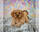 Image preview for Ad Listing. Nickname: Millie