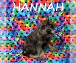 Image preview for Ad Listing. Nickname: Hannah