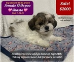 Image preview for Ad Listing. Nickname: Shasta