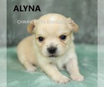 Image preview for Ad Listing. Nickname: Alyna