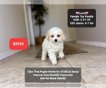 Image preview for Ad Listing. Nickname: Luna