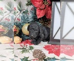  - Photo #8