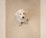 Image preview for Ad Listing. Nickname: Winky