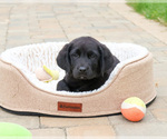 Image preview for Ad Listing. Nickname: Haven
