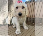 Image preview for Ad Listing. Nickname: Cream Female