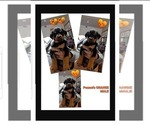 Puppy Puppy 2 Rottweiler