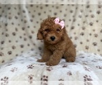 Image preview for Ad Listing. Nickname: Allison