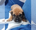 Image preview for Ad Listing. Nickname: Lite BlueCollar