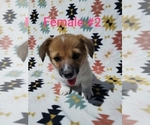 Image preview for Ad Listing. Nickname: Willow
