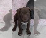 Small #1 Breeder Profile image