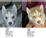 Image preview for Ad Listing. Nickname: Nathan