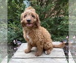 Image preview for Ad Listing. Nickname: Arielle