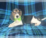 Image preview for Ad Listing. Nickname: Copper