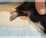  - Photo #4