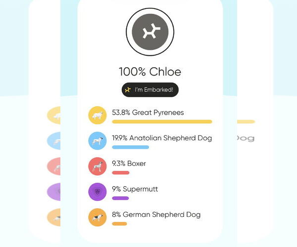Medium Photo #2 Anatolian Pyrenees Puppy For Sale in Plainfield, IL, USA