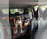 Small #4 Puggle