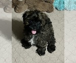 Image preview for Ad Listing. Nickname: Martha