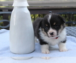 Image preview for Ad Listing. Nickname: Millie