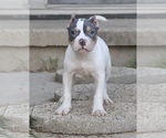 Image preview for Ad Listing. Nickname: Rose
