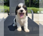 Image preview for Ad Listing. Nickname: Bentley
