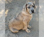 Small #3 Breeder Profile image