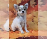 Image preview for Ad Listing. Nickname: Pluto