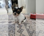 Image preview for Ad Listing. Nickname: LUCY