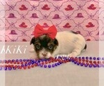 Image preview for Ad Listing. Nickname: Tiny KiKi