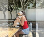 Small #11 Basenji-Labrador Retriever Mix