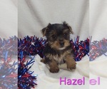 Image preview for Ad Listing. Nickname: Hazel