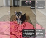 Image preview for Ad Listing. Nickname: Prada