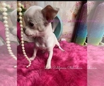 Image preview for Ad Listing. Nickname: Casper