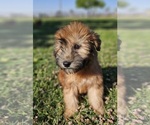 Image preview for Ad Listing. Nickname: Audrey