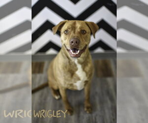 Main image of advertise