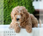 Image preview for Ad Listing. Nickname: Luke