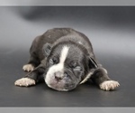 Image preview for Ad Listing. Nickname: Mr Slugworth