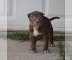 Image preview for Ad Listing. Nickname: Shelly